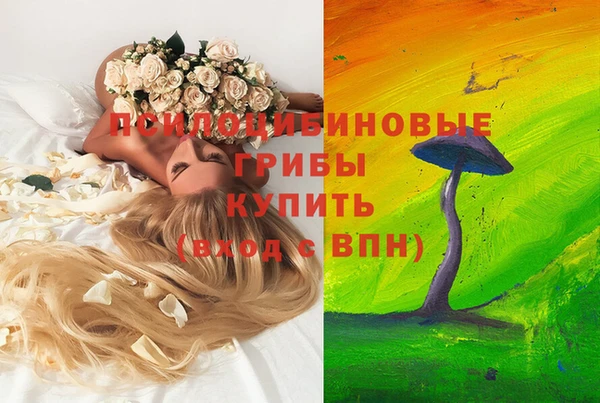 соль курить ск Михайлов