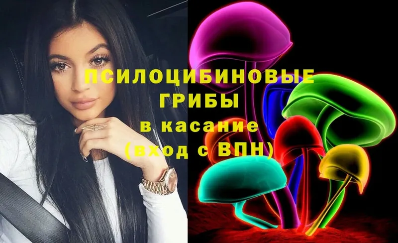 Галлюциногенные грибы Psilocybe  omg онион  Нестеров 