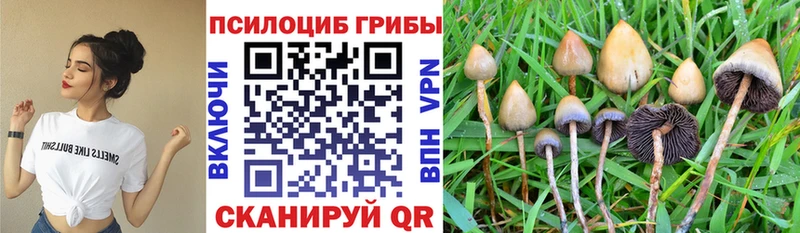 Псилоцибиновые грибы прущие грибы Нестеров